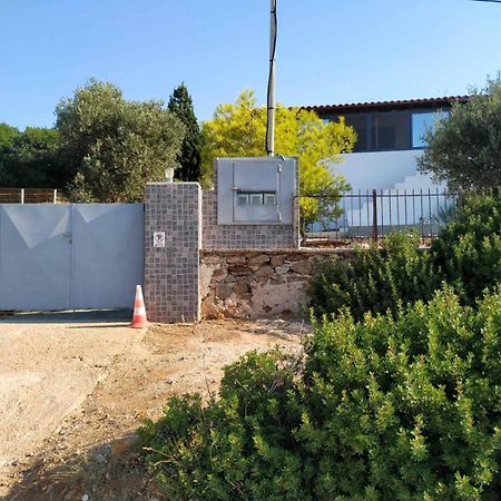 Cap Sounion Seafront Apartments -Adults Only Esterno foto
