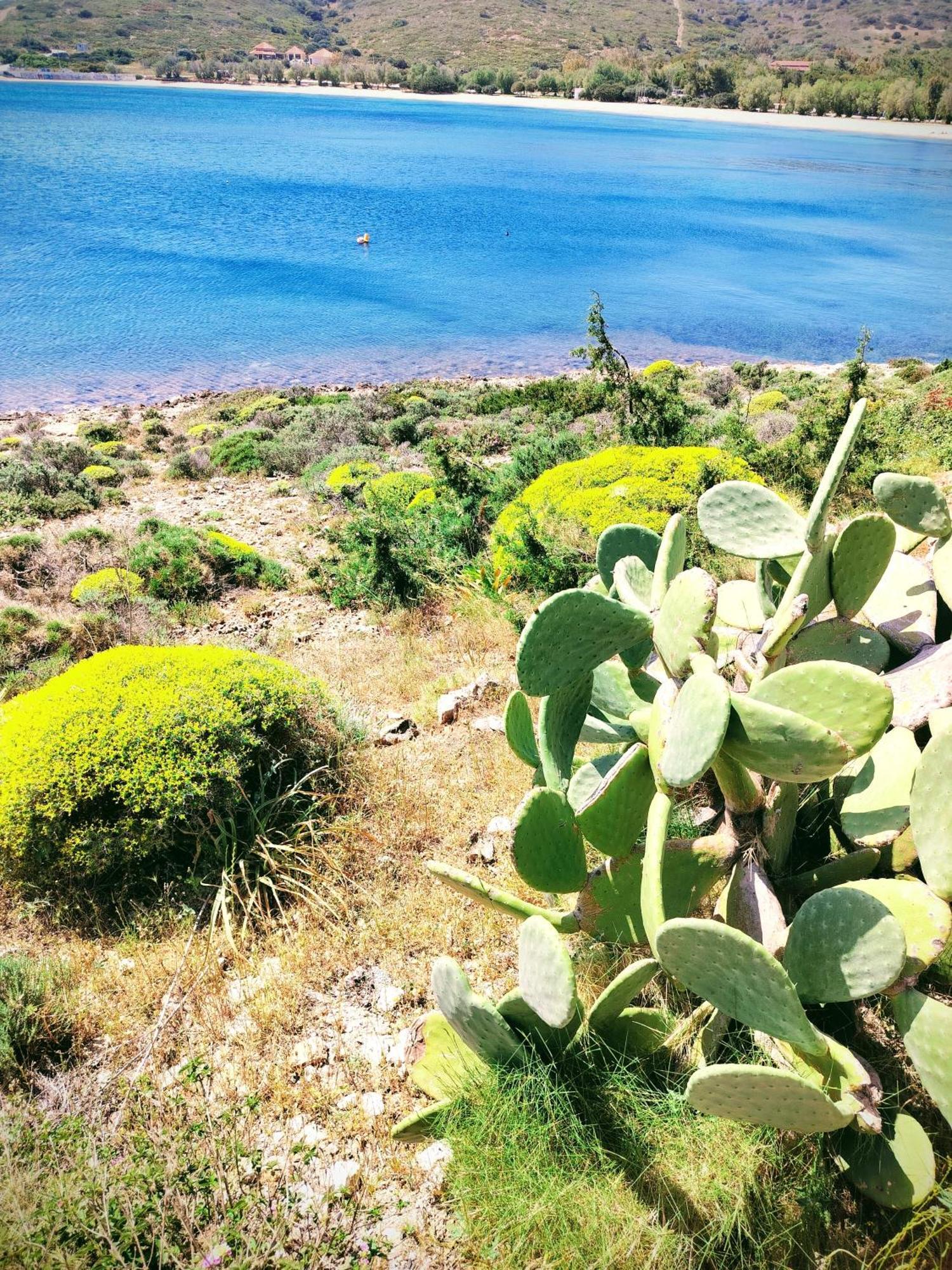 Cap Sounion Seafront Apartments -Adults Only Esterno foto