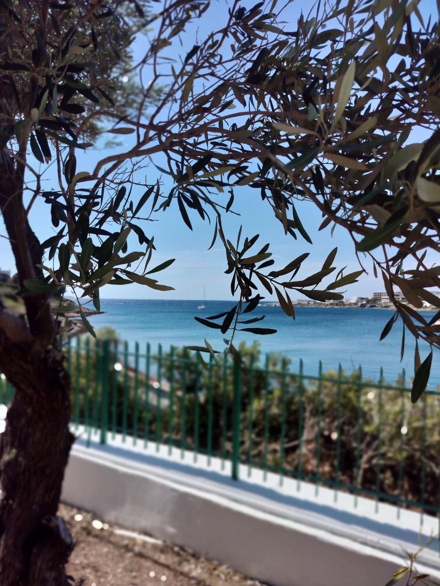 Cap Sounion Seafront Apartments -Adults Only Esterno foto