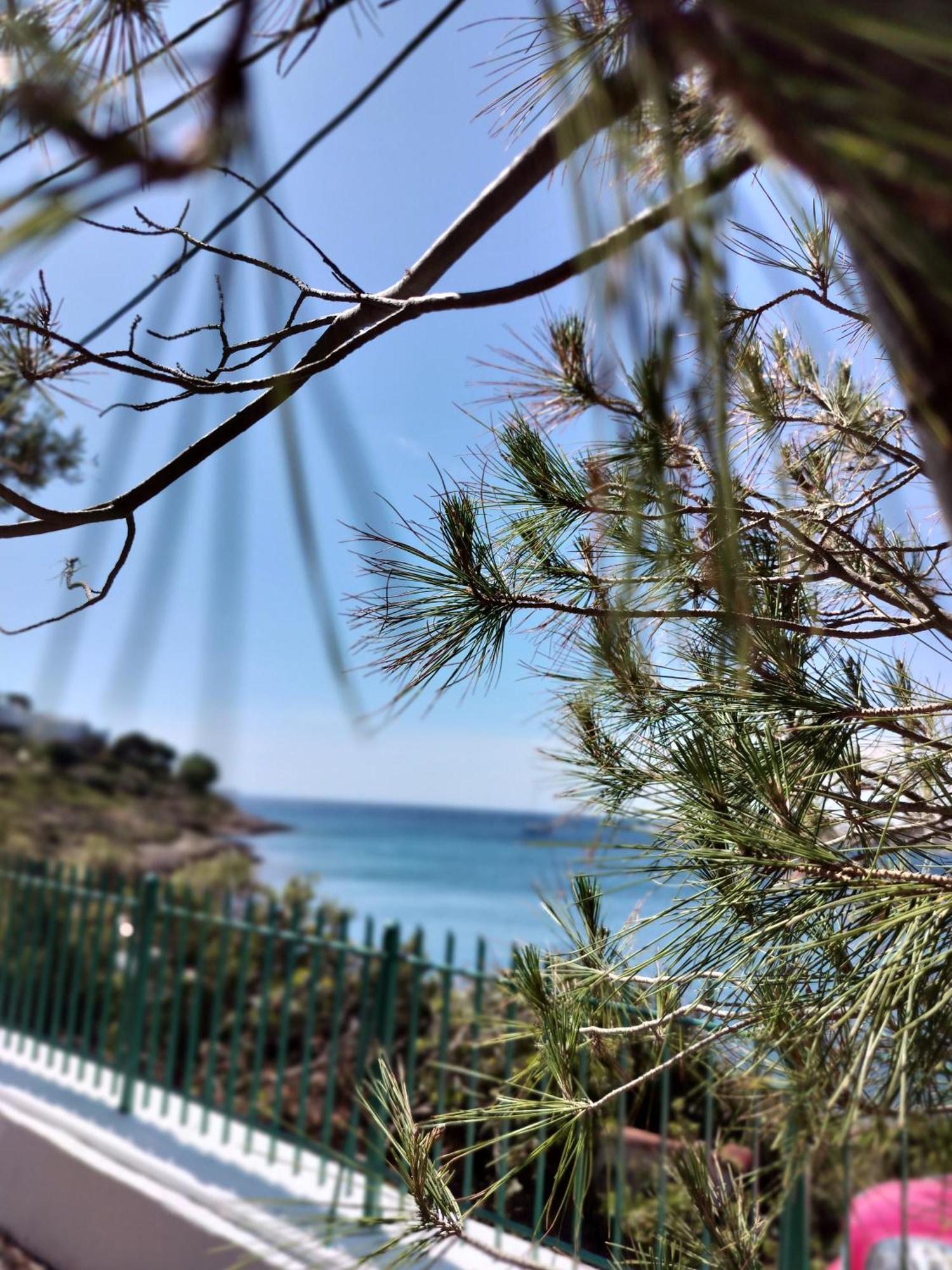 Cap Sounion Seafront Apartments -Adults Only Esterno foto