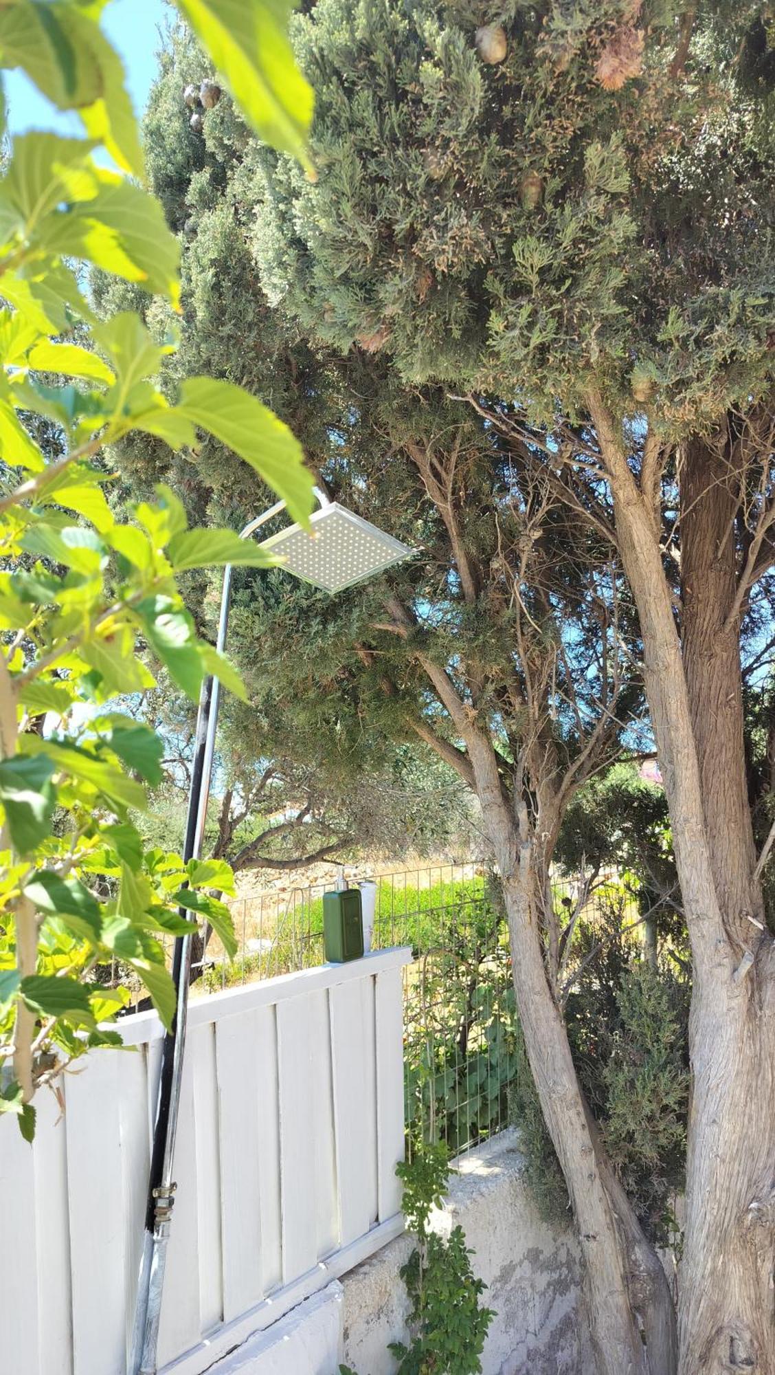 Cap Sounion Seafront Apartments -Adults Only Esterno foto